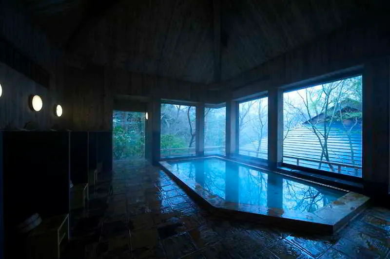 Ryokan Musashino Bekkan Hakone